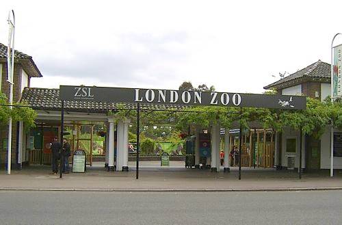 حديقة حيوانات لندن