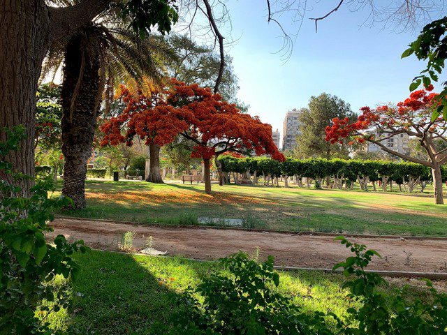 حديقة الميريلاند القاهرة