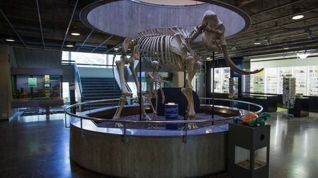متحف التاريخ الطبيعي جنيف سويسرا