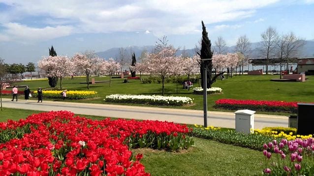 حديقة سيكا في ازميت التركية