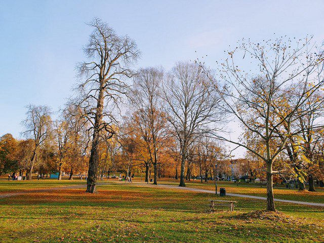 متنزه سوفينبيرج اوسلو