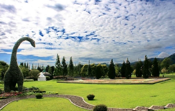 حديقة الزهور في بونشاك اندونيسيا