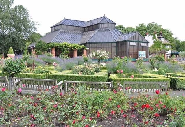أفضل 5 أنشطة في حديقة العالم الاستوائي في ليدز انجلترا