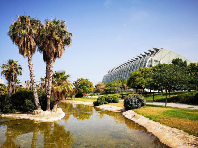 turia park valencia 1 - أفضل نشاطين يمكنك القيام بهما في حديقة توريا فالنسيا