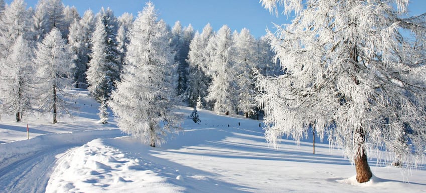 اجمل 4 وجهات للسياحة الشتوية في المانيا