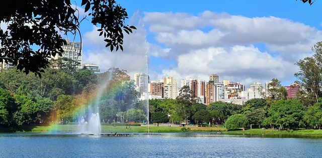 حديقة ابيرابويرا ساو باولو