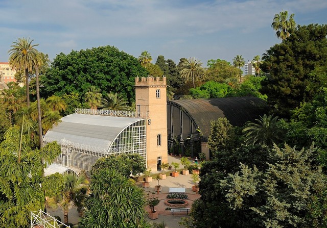 حديقة جامعة فالنسيا النباتية فالنسيا