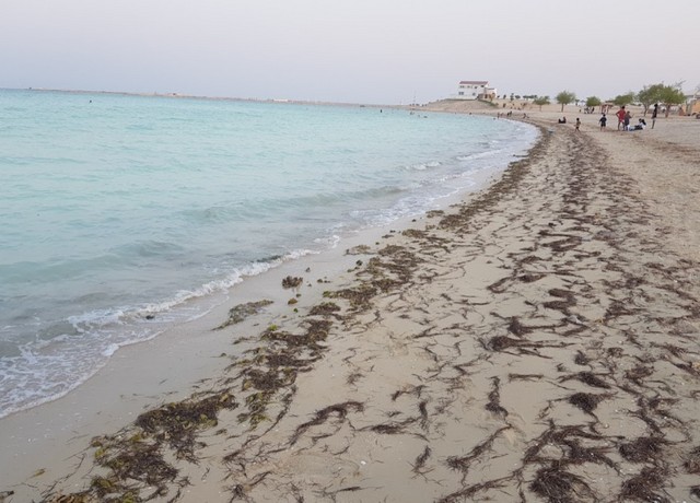 افضل شاطئ في دولة قطر