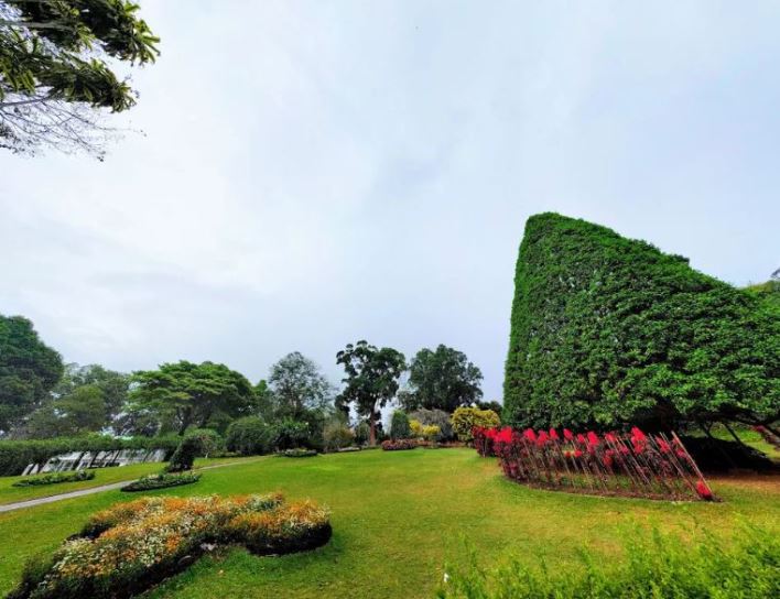 الحديقة النباتية الملكية من اجمل اماكن سياحية في كاندي سريلانكا