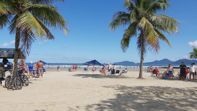شاطئ غونزاغا ساو باولو