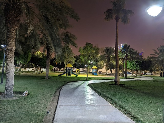 حديقة النخيل في الرياض
