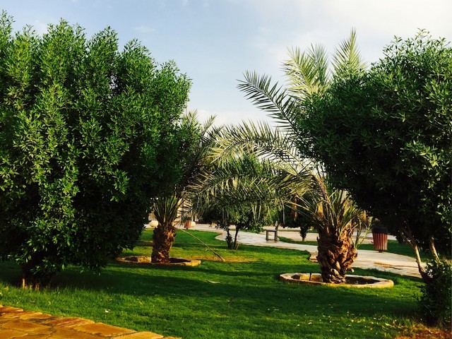 حديقة الروابي الأولى الرياض