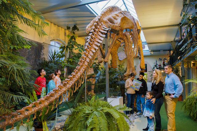 متحف آثال للديناصورات في زيورخ