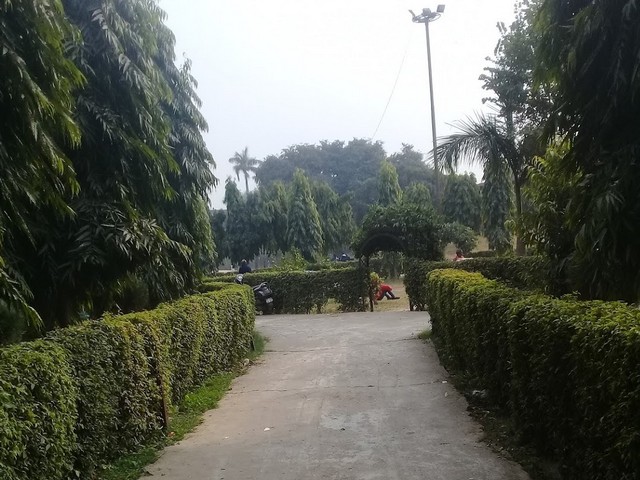 حديقة اجمل خان نيودلهي