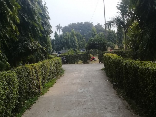 أفضل الأنشطة في حديقة اجمل خان نيودلهي