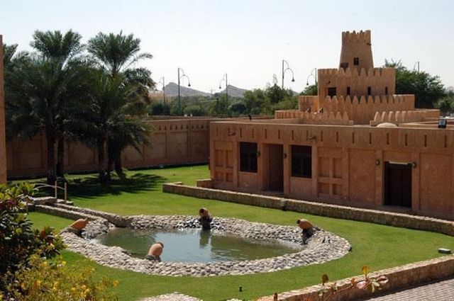 متحف قصر العين الامارات