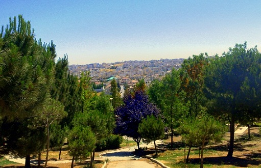 الطبيعة الخضراء في حدائق الملك حسين في عمان
