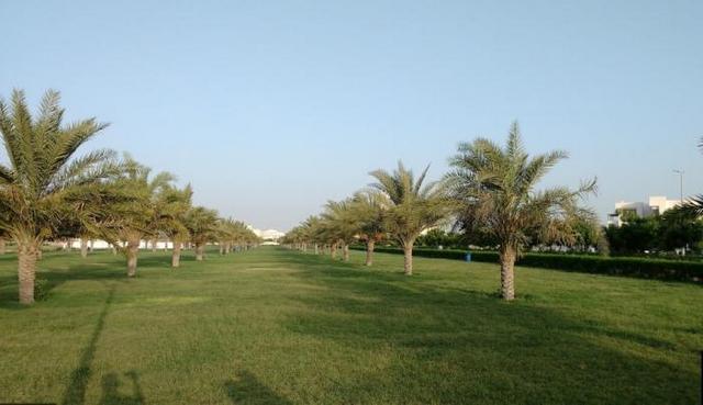 حديقة الجرف عجمان