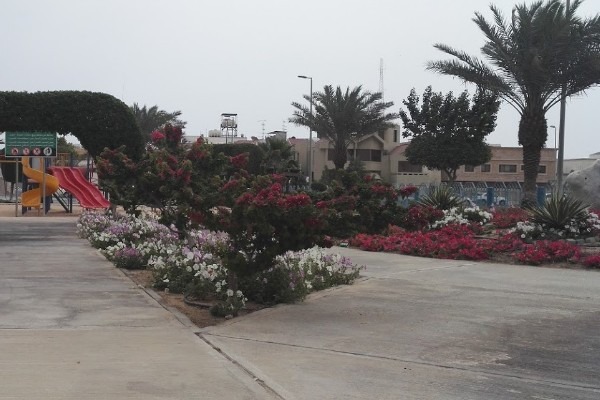حديقة الورود في مدينة الخبر