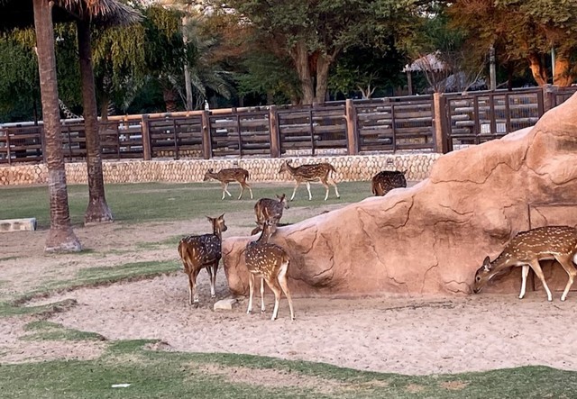 حديقة الخور في قطر