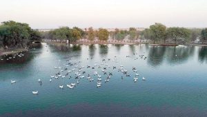 افضل 8 أنشطة عند زيارة بحيرة القدرة دبي