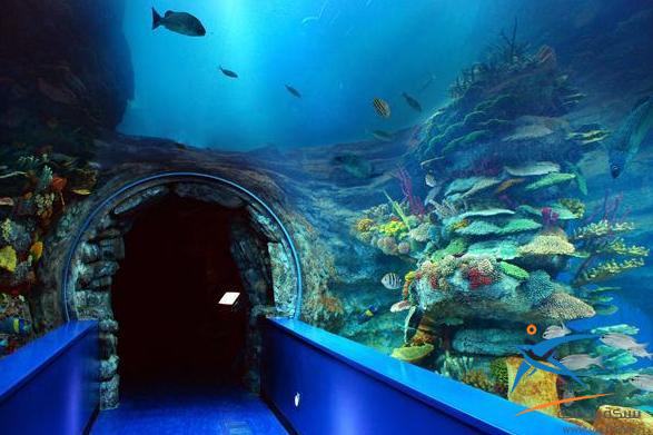 متحف الاحياء المائية يعد واحداً من اجمل اماكن السياحة في مصر الاسكندرية