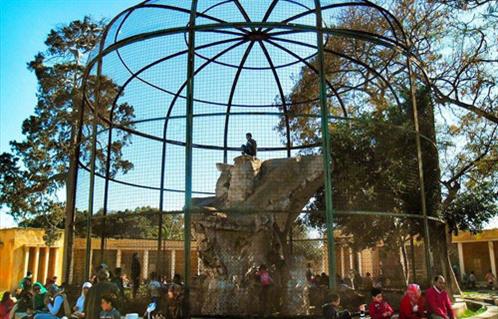 حديقة حيوانات الاسكندرية من اهم اماكن سياحية في الاسكندرية مصر