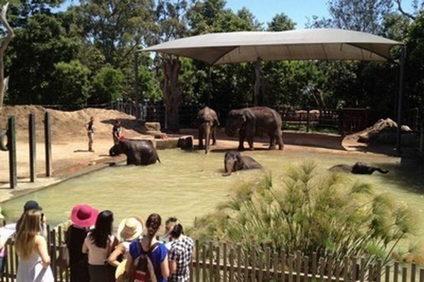 حديقة حيوانات ملبورن من اهم اماكن السياحة في ملبورن