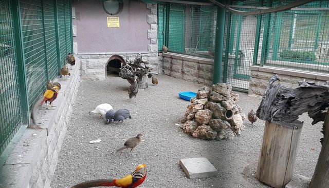حديقة الحيوانات في انقرة بتركيا