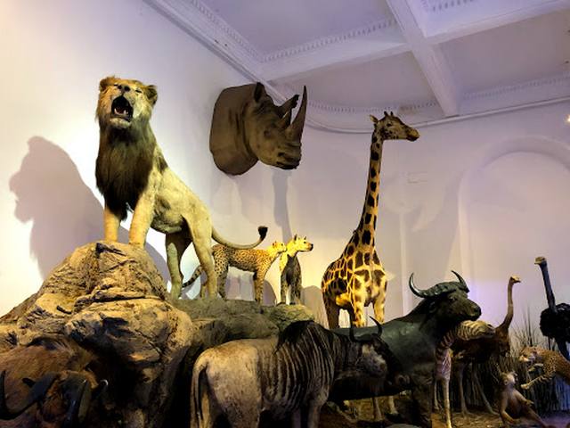 متحف جريجور أنتيبا في بوخارست