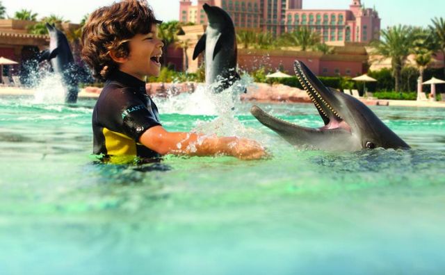 يتميز الفندق المائي في دبي بتوفير ألعاب مائية بصُحبة الدلافين