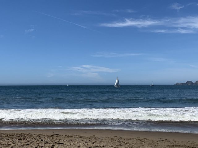 شاطئ ألاميدا سان فرانسيسكو
