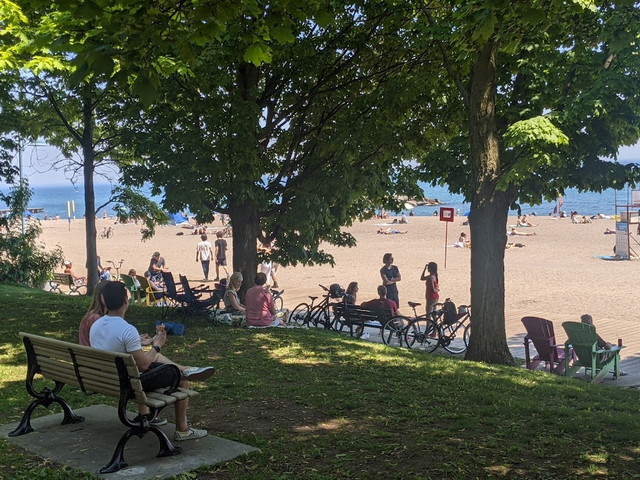 شاطئ حديقة بالمي في تورنتو