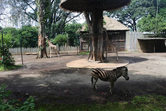 حديقة حيوان باندونق