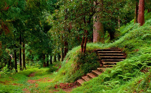 الحديقة النباتية في باتومي من اهم المناطق السياحية في باتومي جورجيا
