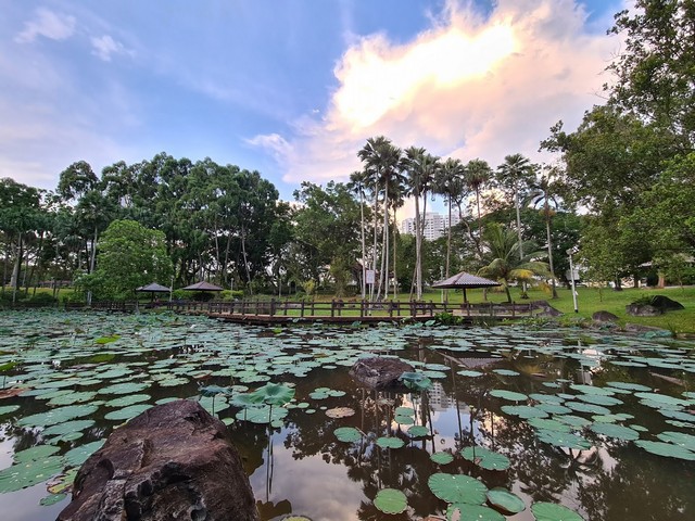 حديقة بيشان أنج مو كيو في سنغافورة