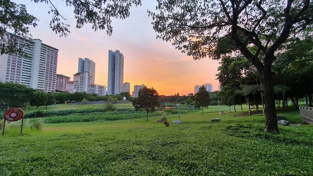 اجمل حدائق سنغافورة