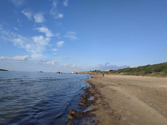الشواطئ في جيجل