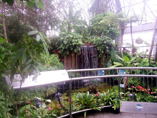 حديقة يومينوشيما النباتية طوكيو