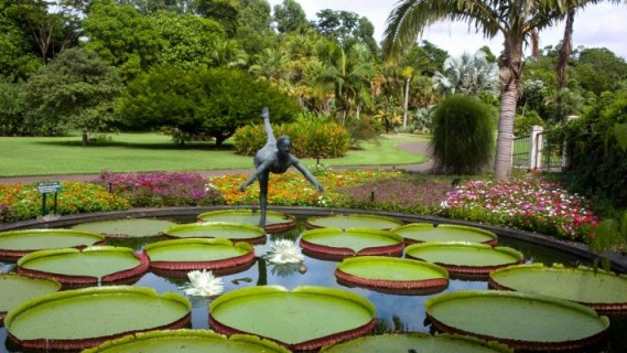 حديقة ساو باولو النباتية من اجمل الحدائق في مدينة ساو باولو السياحية