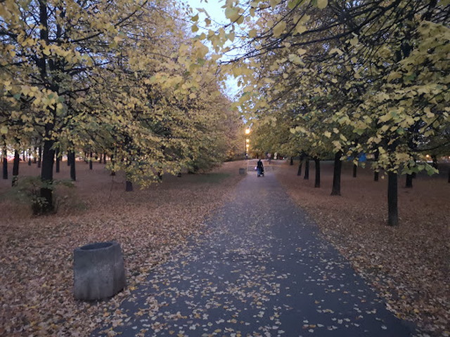  حديقة برودونسكي وارسو
