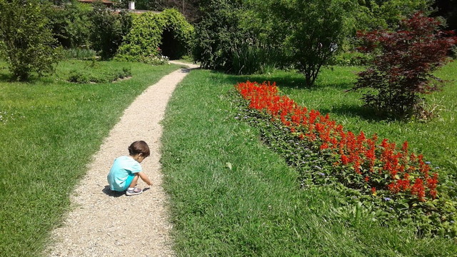  حديقة بوخارست النباتية 