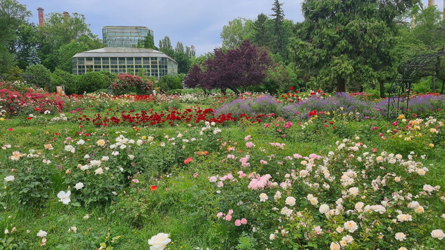 حديقة بوخاريست النباتية 