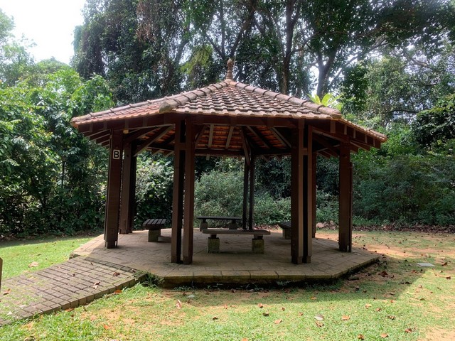 حديقة بوكيت باتوك الطبيعية في سنغافورة