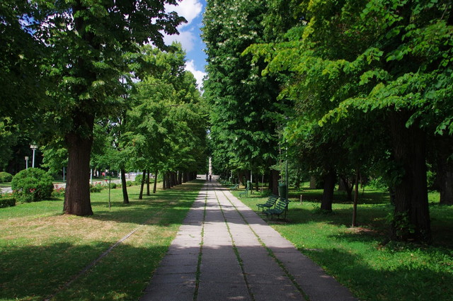 افضل الحدائق في بوخارست