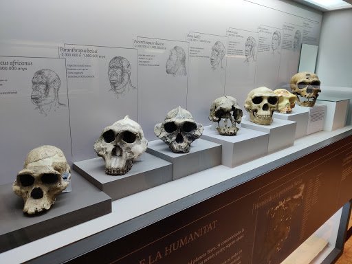 متحف كاتالونيا للآثار