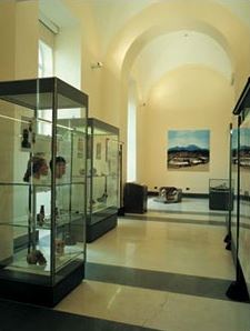 مركز متاحف العلوم الطبيعية من اهم متاحف نابولي