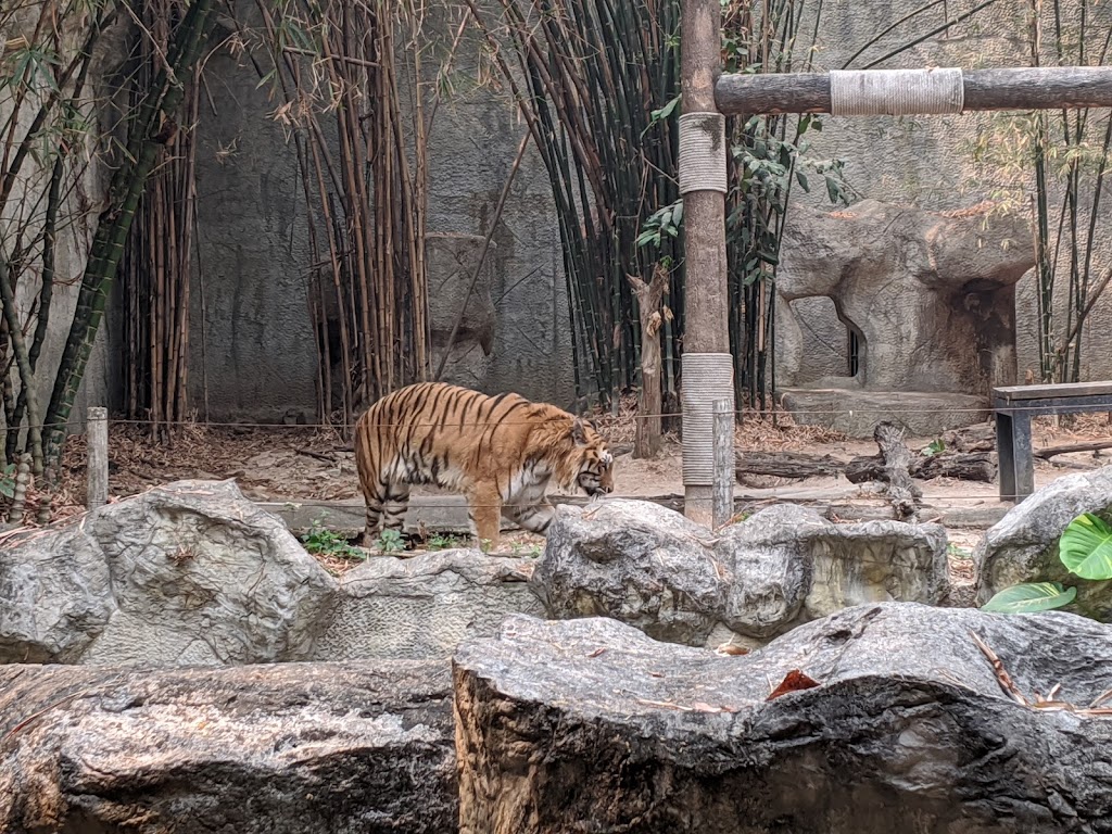 حديقة حيوان شنغماي