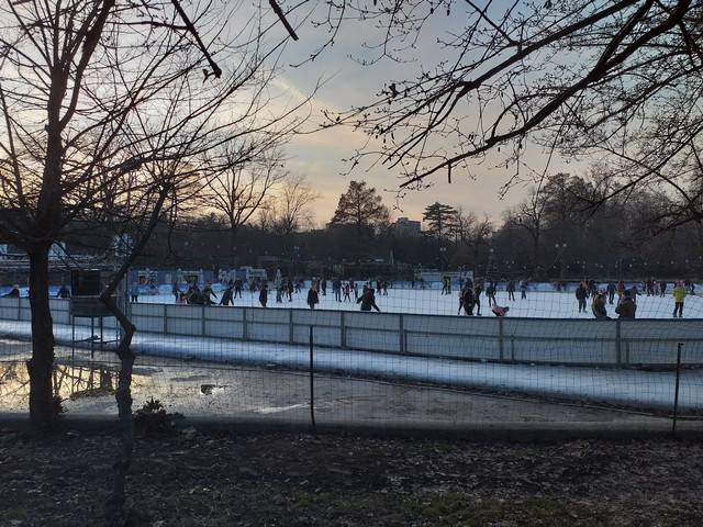 حديقة سيسميجيو بوخارست