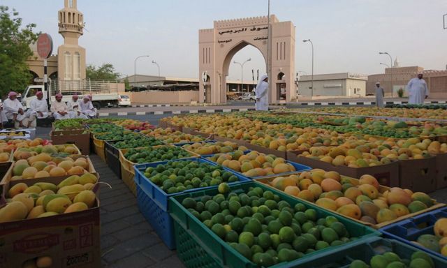 اهم الاماكن السياحية في مدينة البريمي